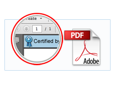 Secure PDF Document